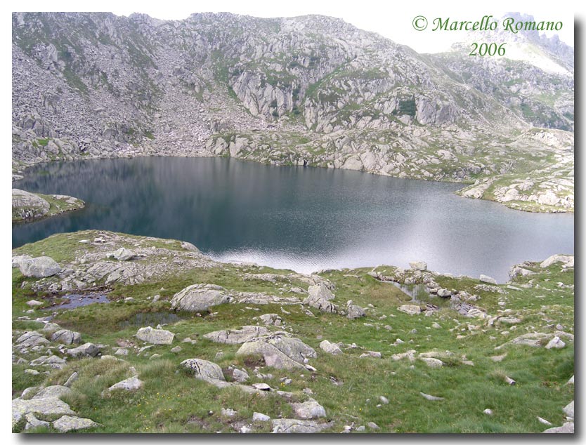 Insetti del Parco Adamello Brenta (TN): immagini e appunti